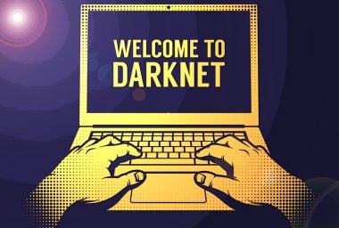 Despite Setbacks, Darknet Markets Show Continuous Growth in 2019