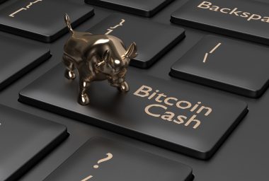 Crypto Investment Group Grayscale Releases Bitcoin Cash Primer