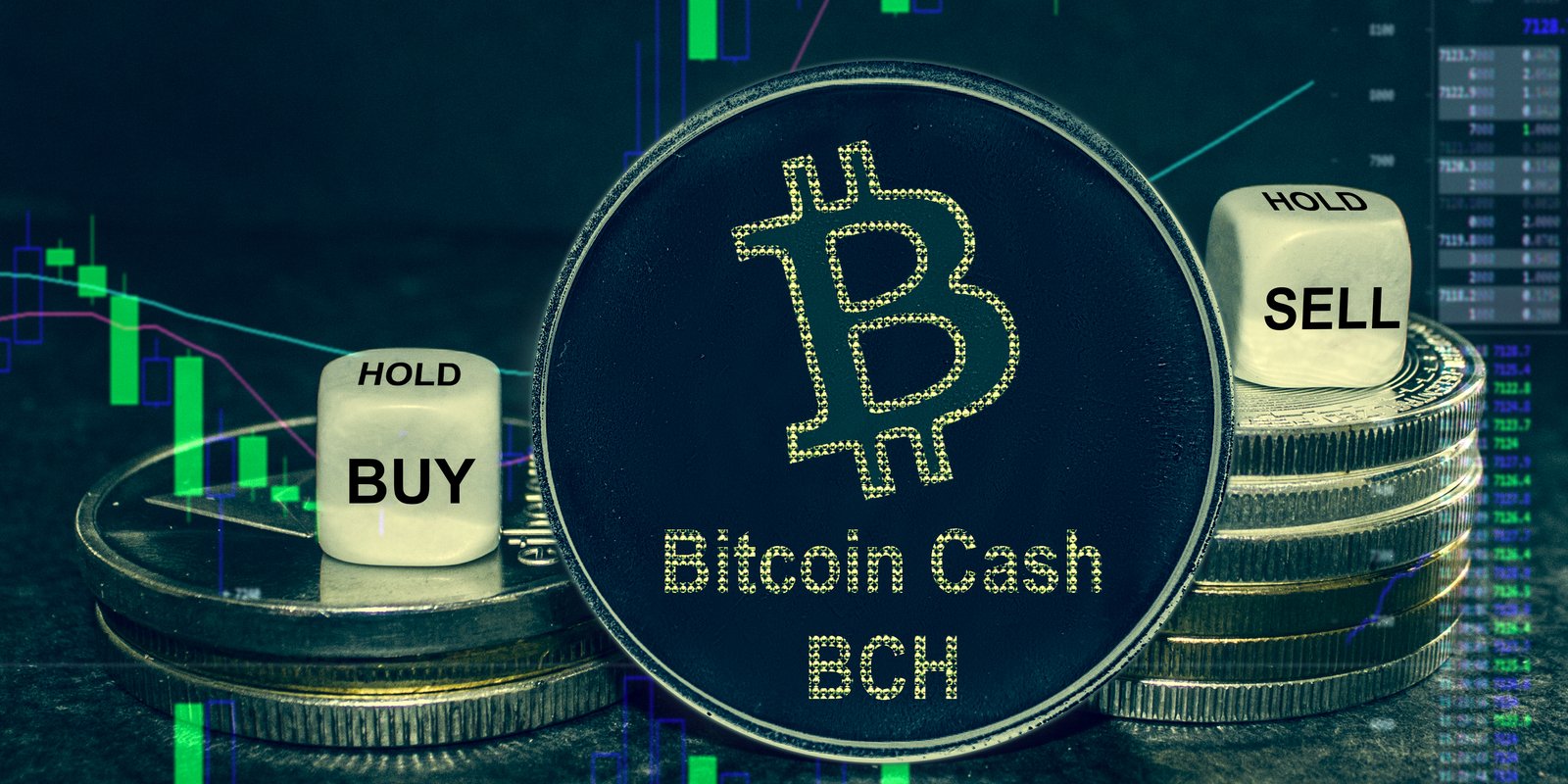 Btc bch exchange cryptocurrency capital asset