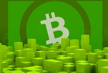 What to Expect From the Next Bitcoin Cash Protocol Upgrade