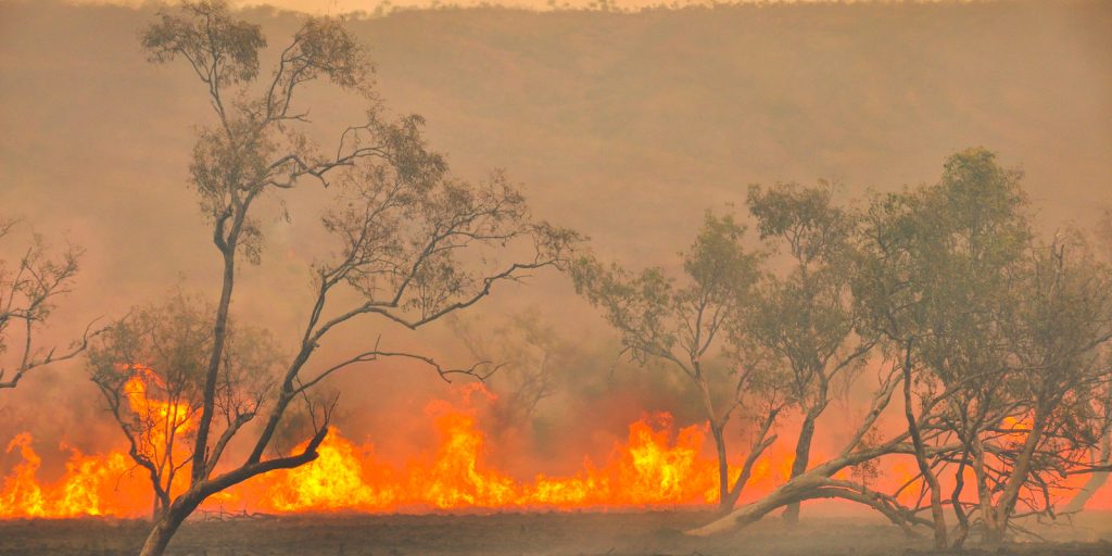 Binance Donates $1 Million in Crypto for Australian Bushfire Relief