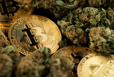 Relm Launches Insurance Coverage for Cryptocurrency and Cannabis Groups in Tough Regulatory Climate