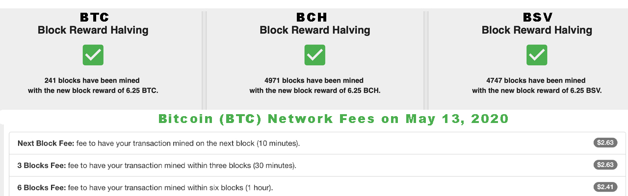2 Days After the Bitcoin Halving: Network 'Remains Strong,' Higher Fees, Bullish Sentiment