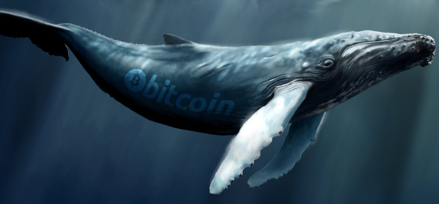 12 Months of Onchain Data Shows Bitcoin Whales Obtained Hundreds of BTC from Small Fish