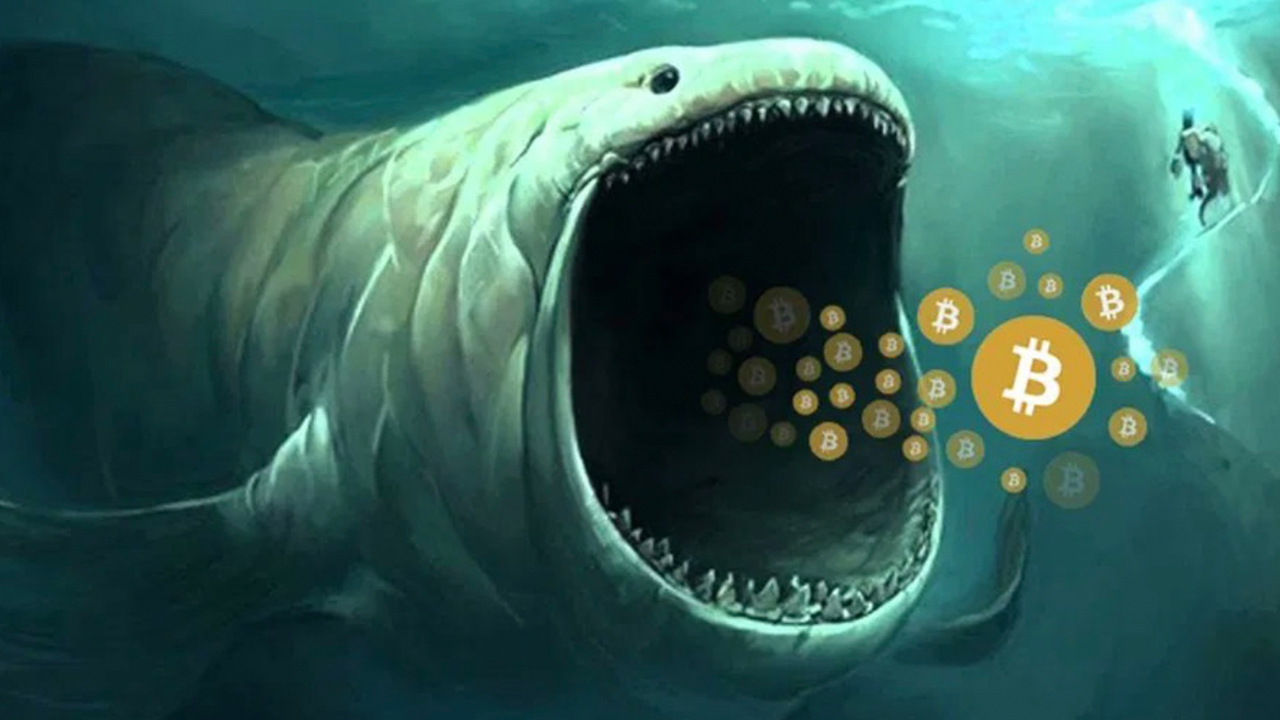 Pirkti bitcoin per paypal