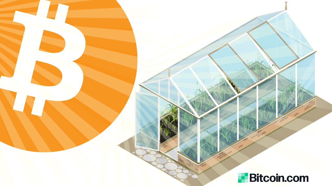 Genesis Mining Is Converting Excess Bitcoin Datacenter Heat Into Greenhouse Power in Sweden