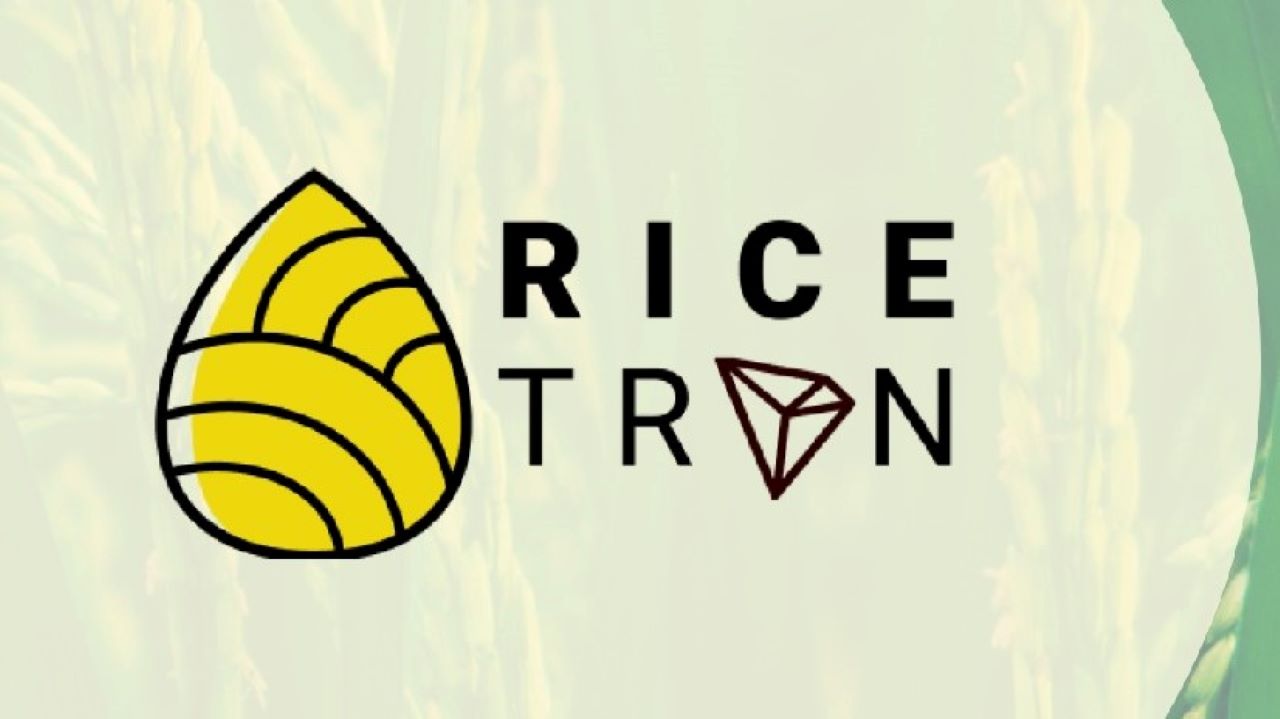 Rice-Based Stablecoin Is Being Launched in Indonesia