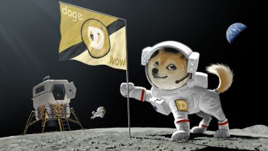 Dogecoin Price Skyrockets 325%, Crypto Fueled by Elon Tweets and Redditors