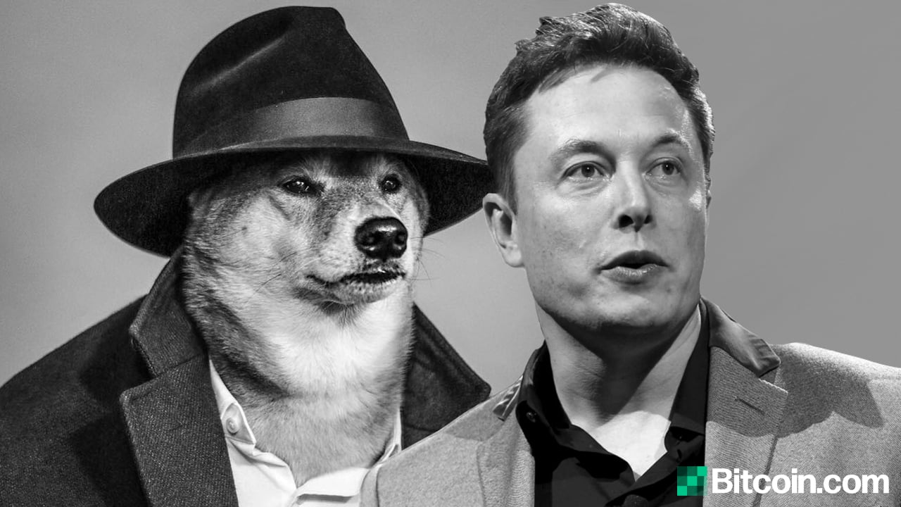 Does Elon Musk Own Dogecoin? / Dogecoin Joke Virtual Currency Touted By Elon Musk Times Of India : Elon musk's spacex is taking dogecoin to the moon.