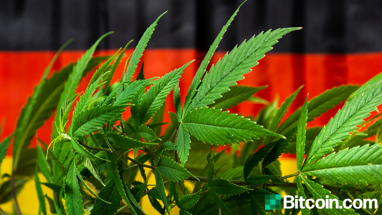 German Cannabis Firm Hedges Bitcoin to Protect from Massive Currency Devaluation