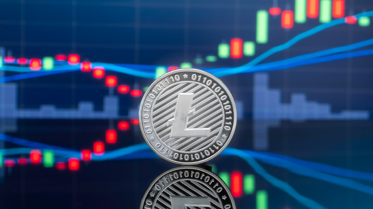 Bitcoin vs litecoin chart Litecoin Price Monitor - LTC cryptocurrency Price, Charts & News