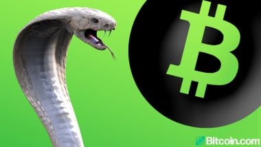 Craig Wright's Law Firm Granted Permission from High Court to Serve Bitcoin.org Operator Cobra