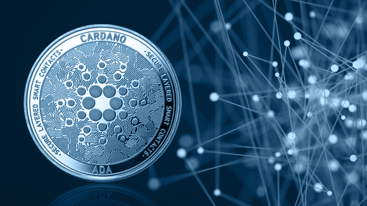 Cardano's Cfund First Capital Goes to Israeli Fintech Startup Coti –  Altcoins Bitcoin News