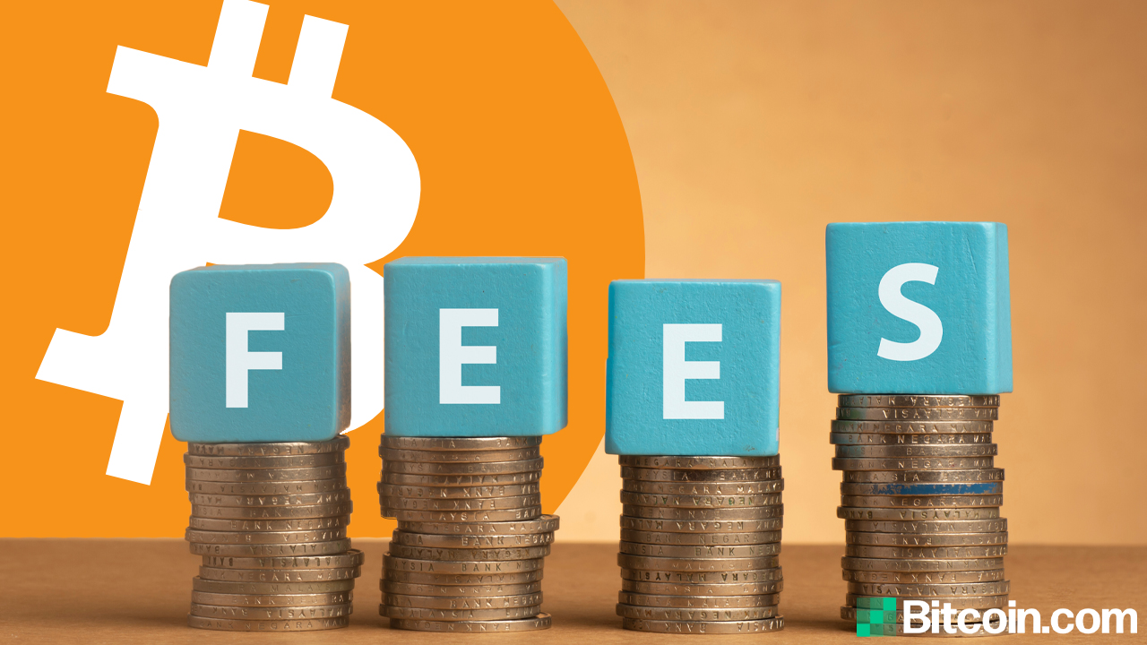 circle bitcoin fees
