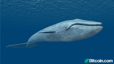 Mystery Bitcoin Whale from 2010 Disappears, Dormant Address from 2013 Sees Strange Activity
