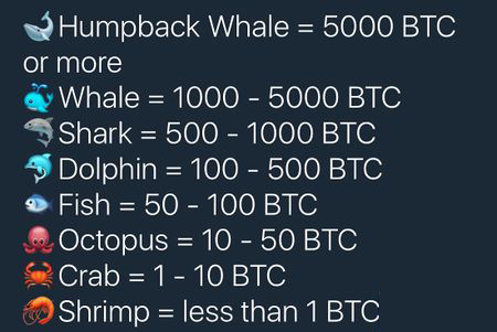 Bitcoin whale комиссия ethermine etc