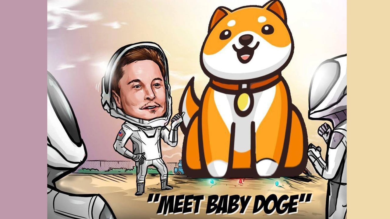 Weekly gains of 248% - Baby Doge currency continues while most Crypto asset markets decline