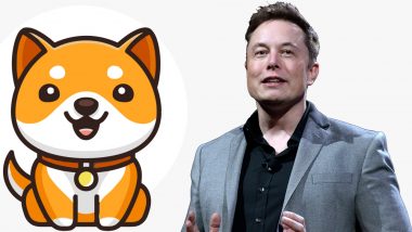 Elon Musk Tweet Sends New Baby Doge Coin Soaring — Meme Token's Daily Gains Jump 228%