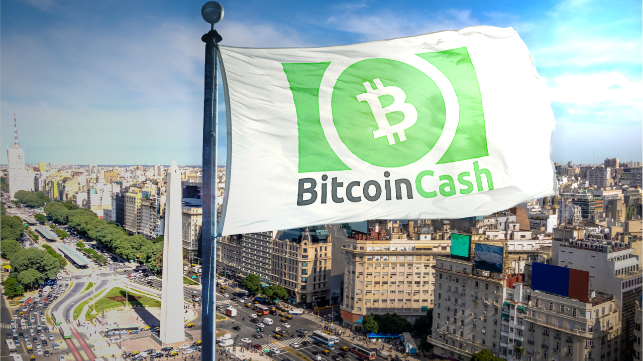 bitcoin cash fees vs bitcoin