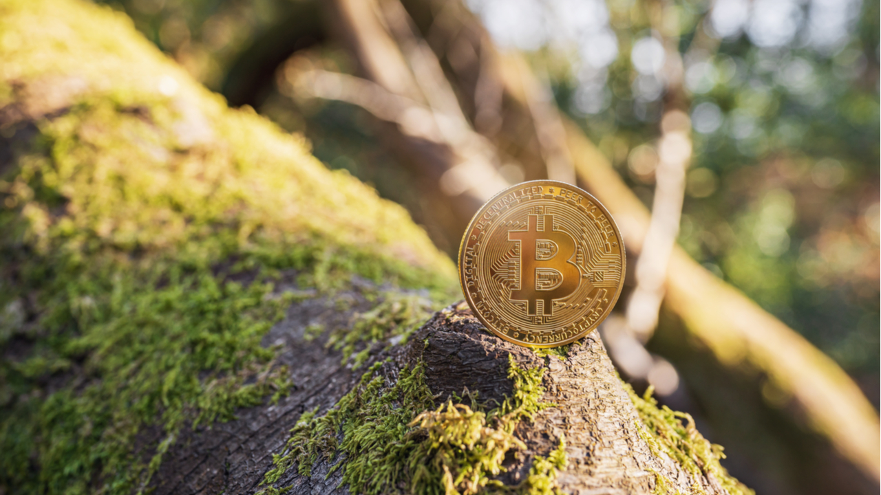 Cryptowisser : Cryptocurrency Likely to Be More Environmentally Friendly Than Traditional Banks