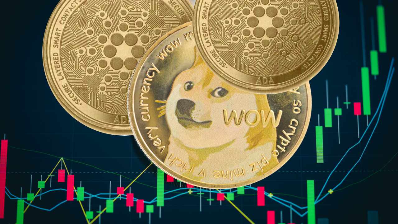 Dogecoin Millionaire Says He’s Going ‘All in’ on Cardano — Bullish on Both DOGE and ADA