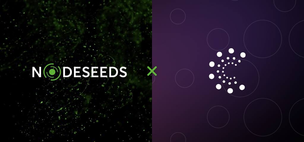 Nodeseeds Launches Three-Tier Membership to Ensure Transparency and Fair Allocation of Projects – Press release Bitcoin News
