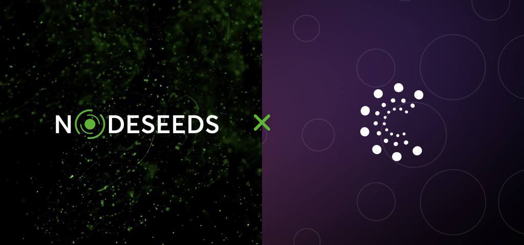 Nodeseeds Launches Three-Tier Membership to Ensure Transparency and Fair Allo...