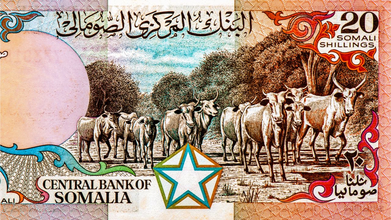 Central Bank of Somalia Launches New Payment System, Reveals Plans to Print New Shilling Banknotes