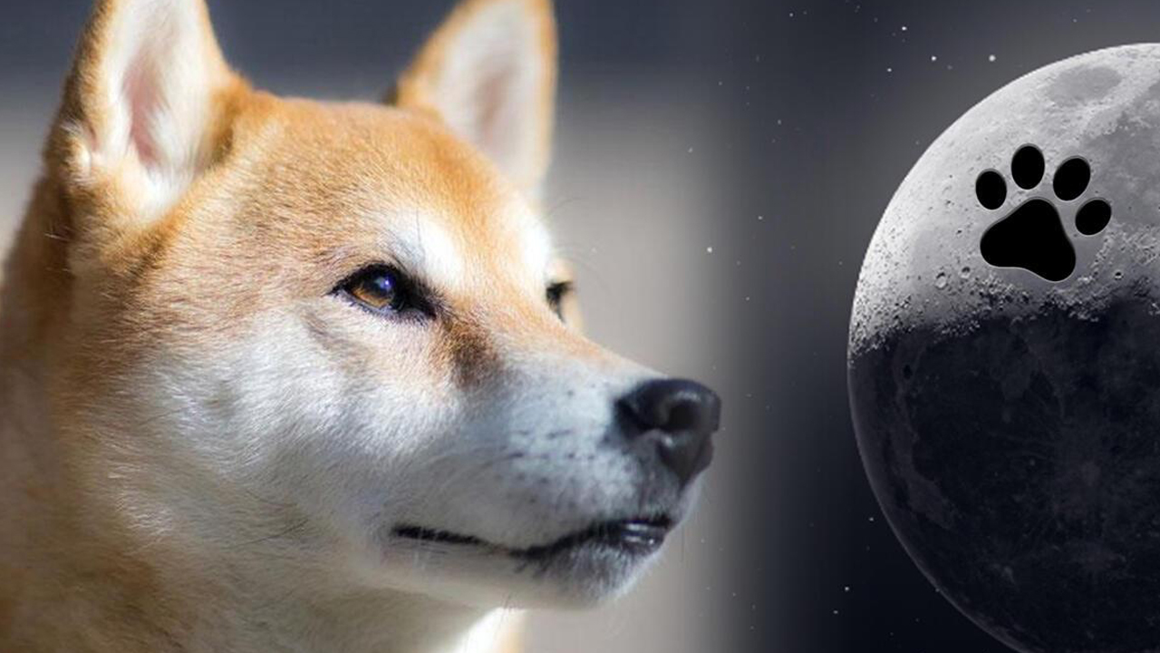 Dogecoin’s Four-Legged Fall — DOGE Slides to 9th Market Cap Position Dropping 18% Last Month