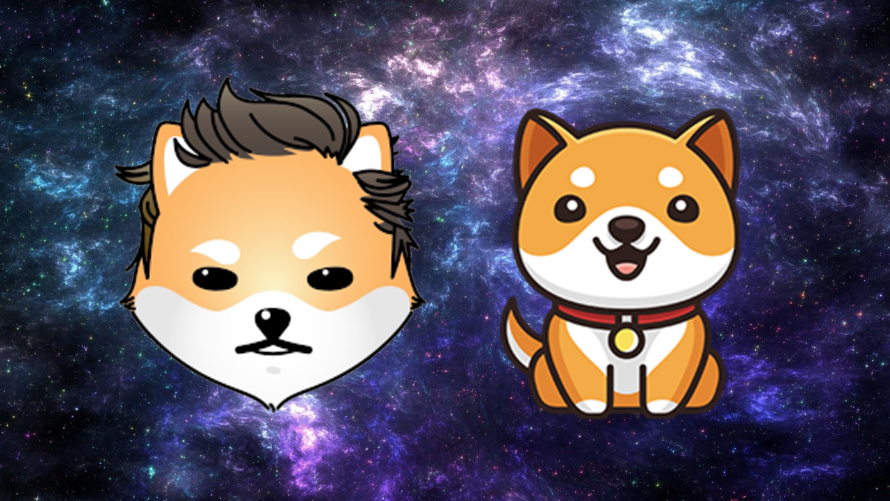 As DOGE, SHIB Markets Fall Back, Baby Doge Coin and Dogelon Mars Prices Skyrocket