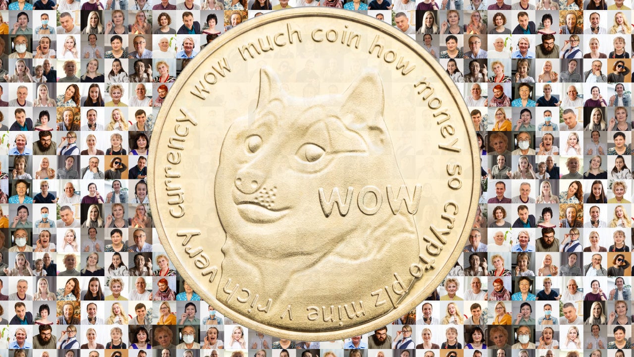 how many people own dogecoin