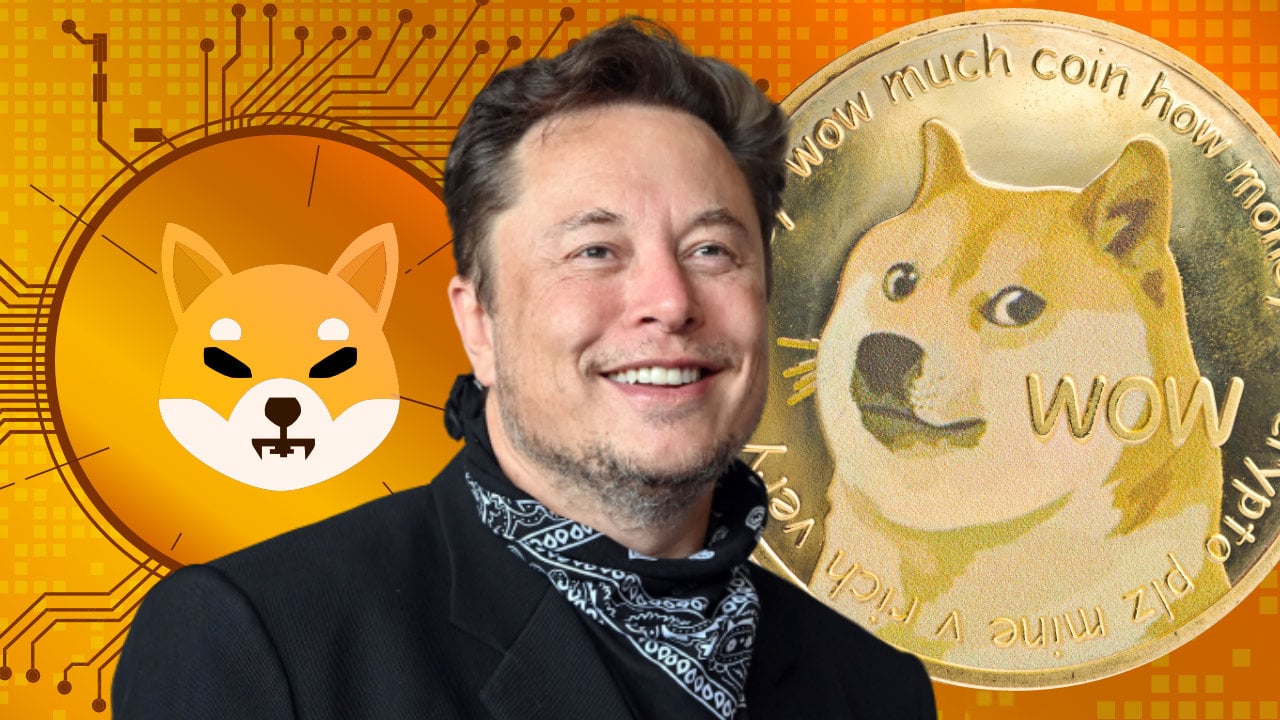 Elon Musk Discusses Important Dogecoin Improvements, Confirms No Investment i...