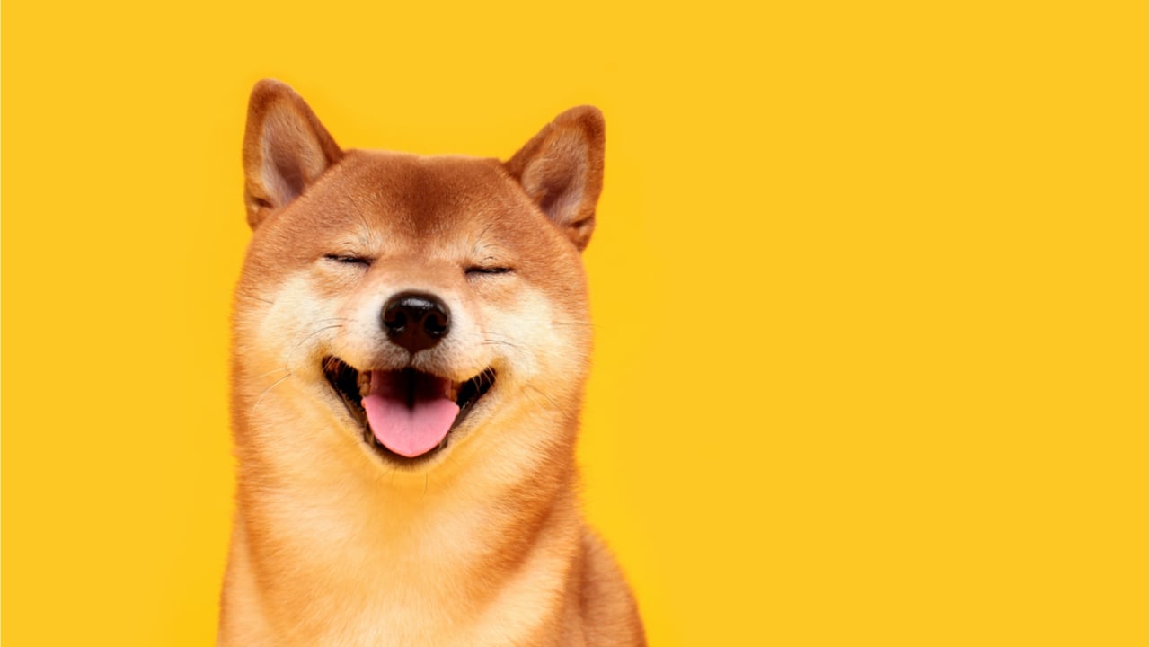 shiba inu soars knocking dogecoin down a notch 20 holders own 75 of the shib supply