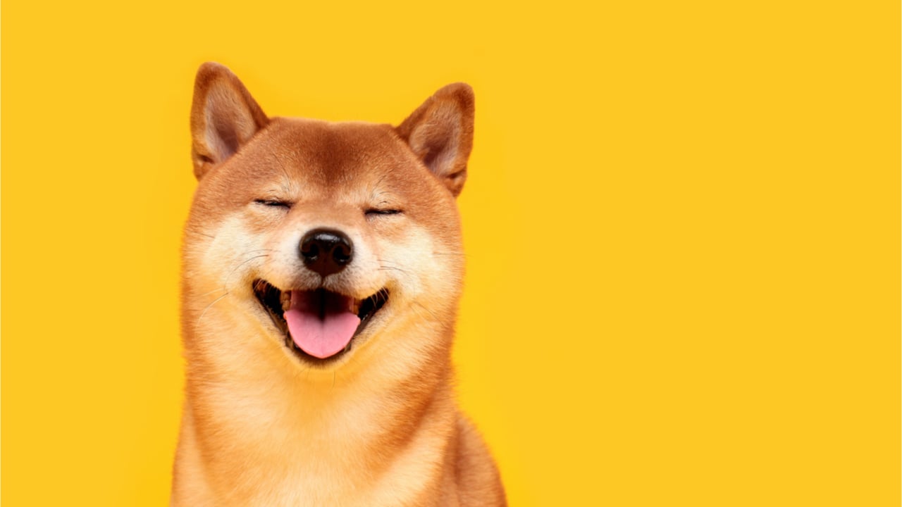 Shiba Inu Soars Knocking Dogecoin Down A Notch 20 Holders Own 75 Of The Shib Supply Market Updates Bitcoin News