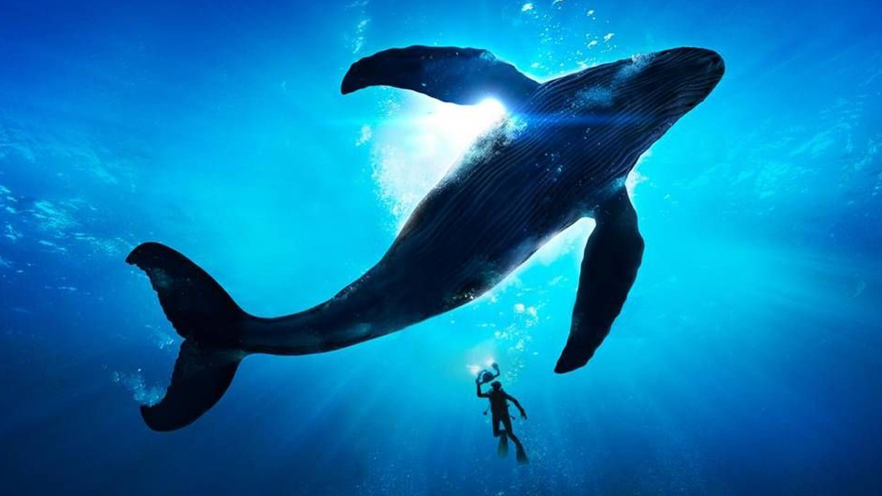 1,000 Bitcoin From 2010 Worth $68M — Mystery Whale Returns Moving a String of 20 Decade-Old BTC Block Rewards