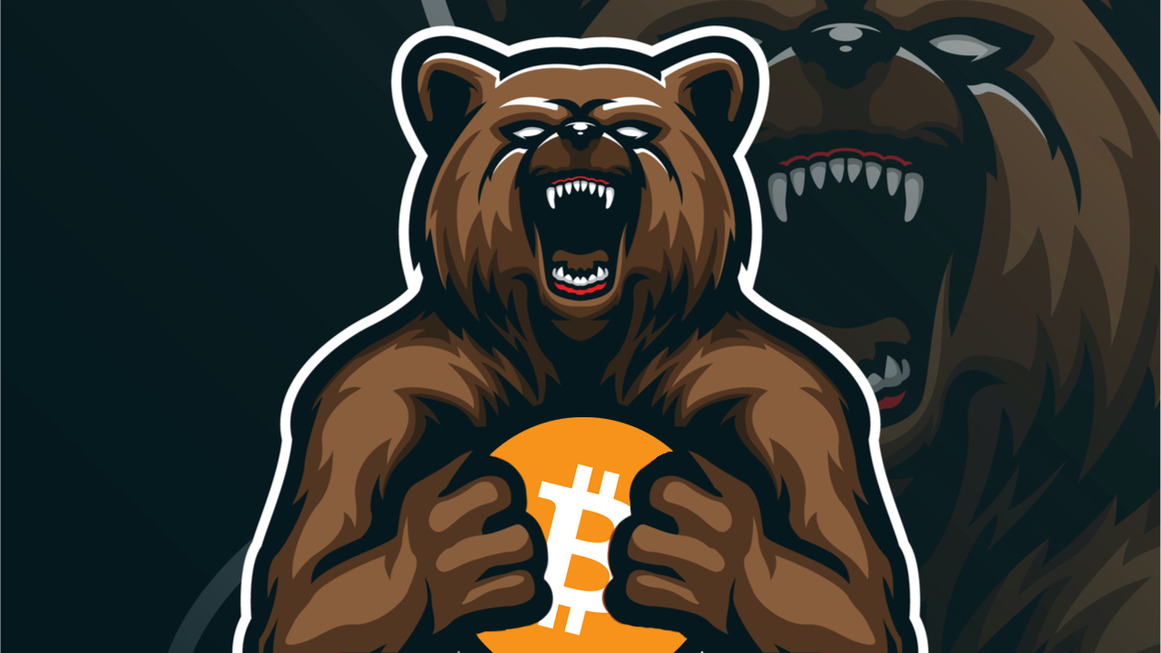 are we in a bear market 2022 crypto