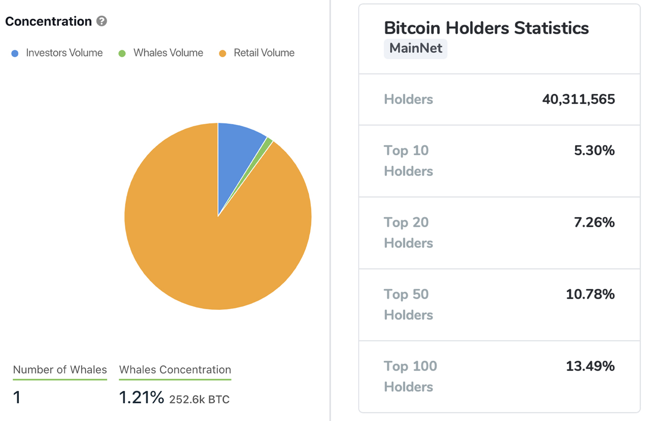 holders Whale Watch: A Deep Dive Into the Concentrations of Large Crypto Holders