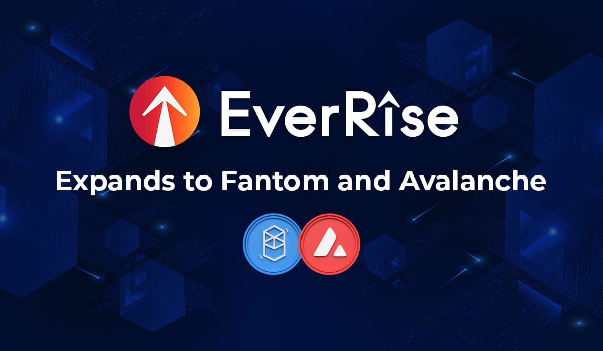 EverRise Expands DeFi Security Infrastructure to Fantom and Avalanche