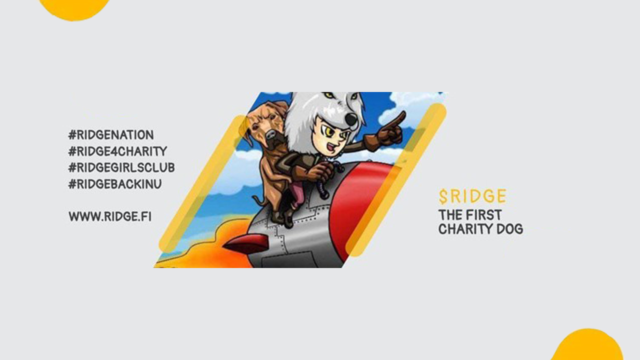 A Team of Experienced Crypto Enthusiasts Launch RIDGE Charity Token