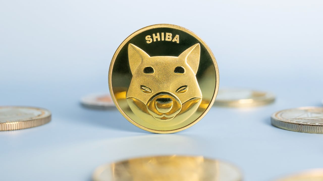 shib coin