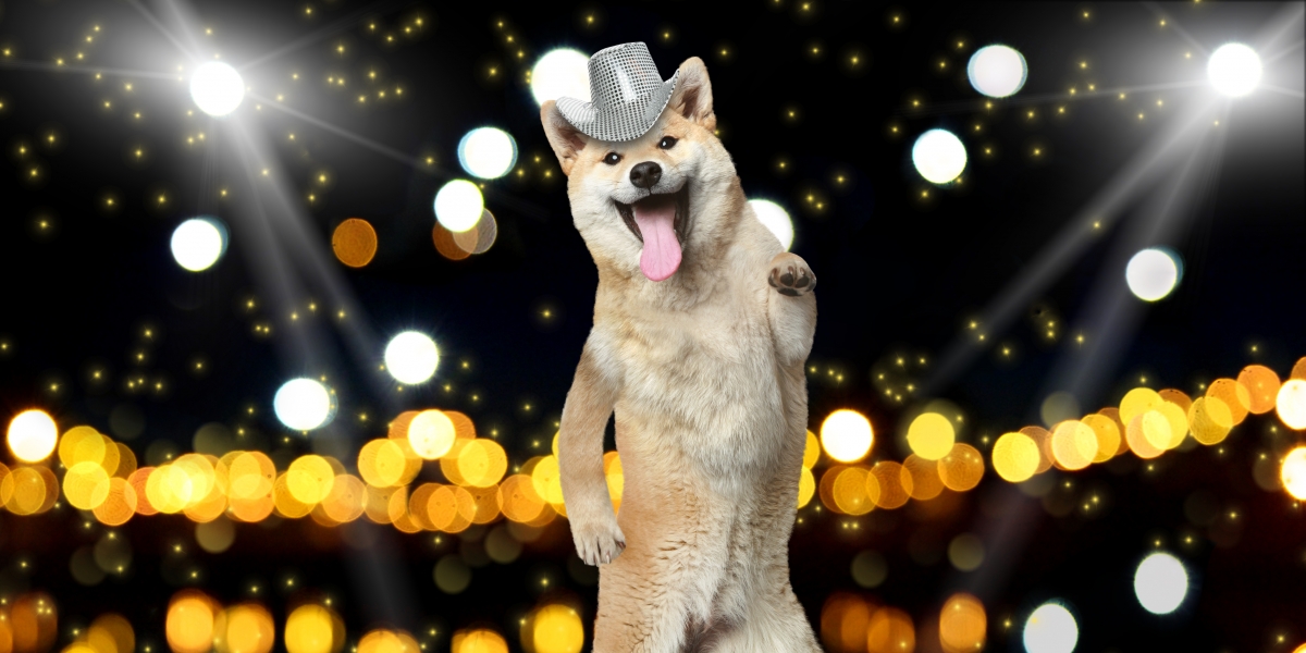 Doge's Day entonces y ahora: falta de emoción ya que el precio de Dogecoin es un 65% más bajo que el año pasado