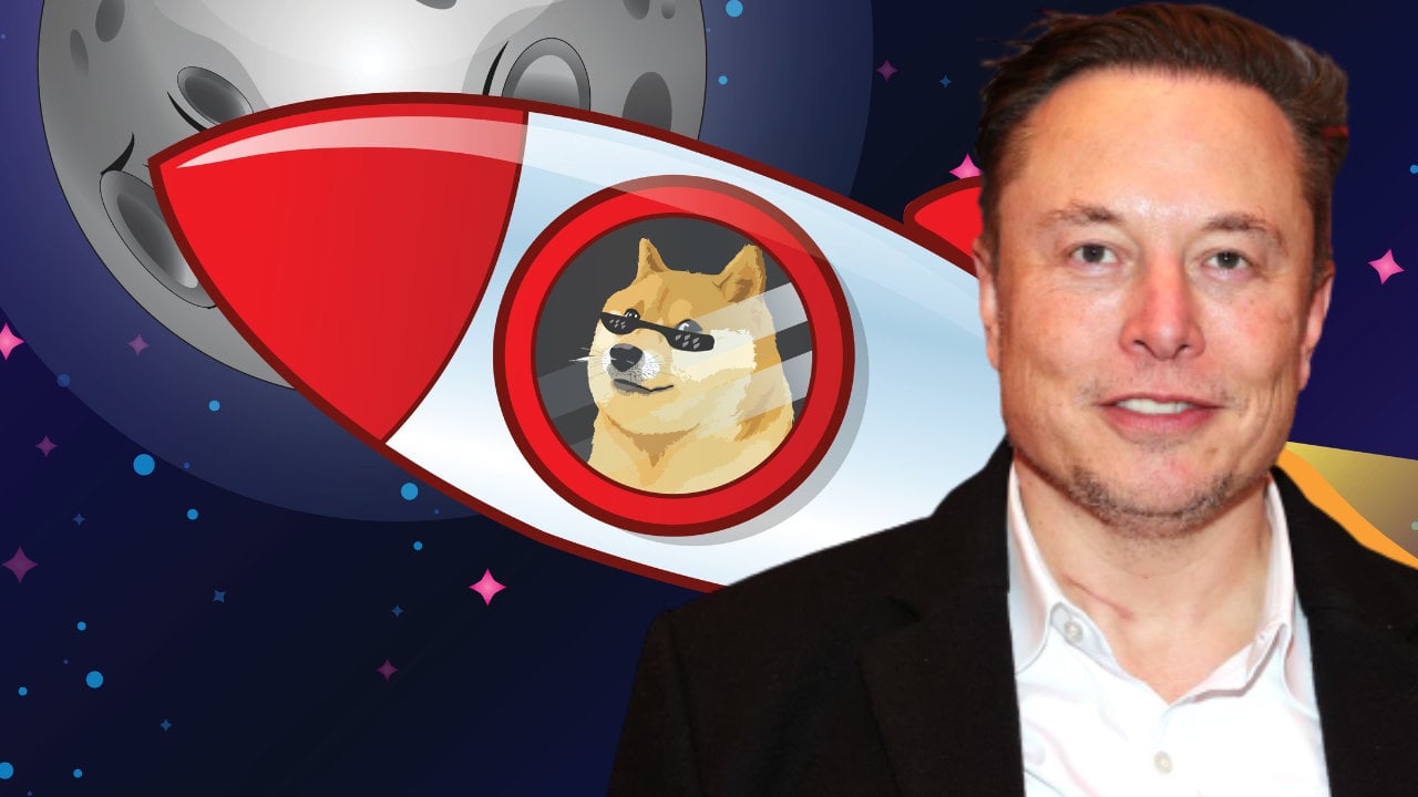 Elon musk doge