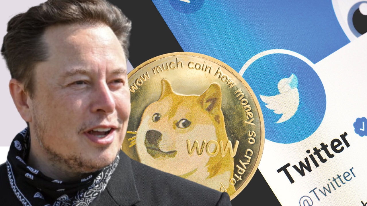 Elon Musk suggère de faire du Dogecoin une option de paiement pour Twitter Blue Service