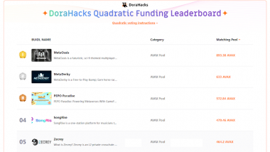 MetaOasis AVAX Hackathon News Report