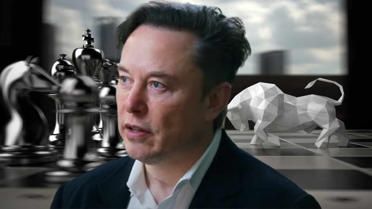 Tesla CEO Elon Musk Gives Investment Advice He Says 'Will Serve You Well in the Long Term'