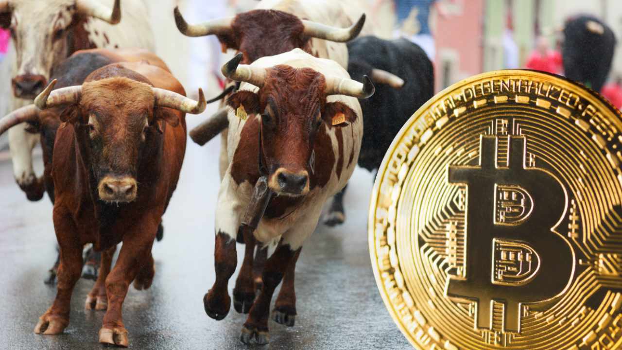 Devere Group Predicts a Bull Run and 'Significant Bounce' for Bitcoin in Q4