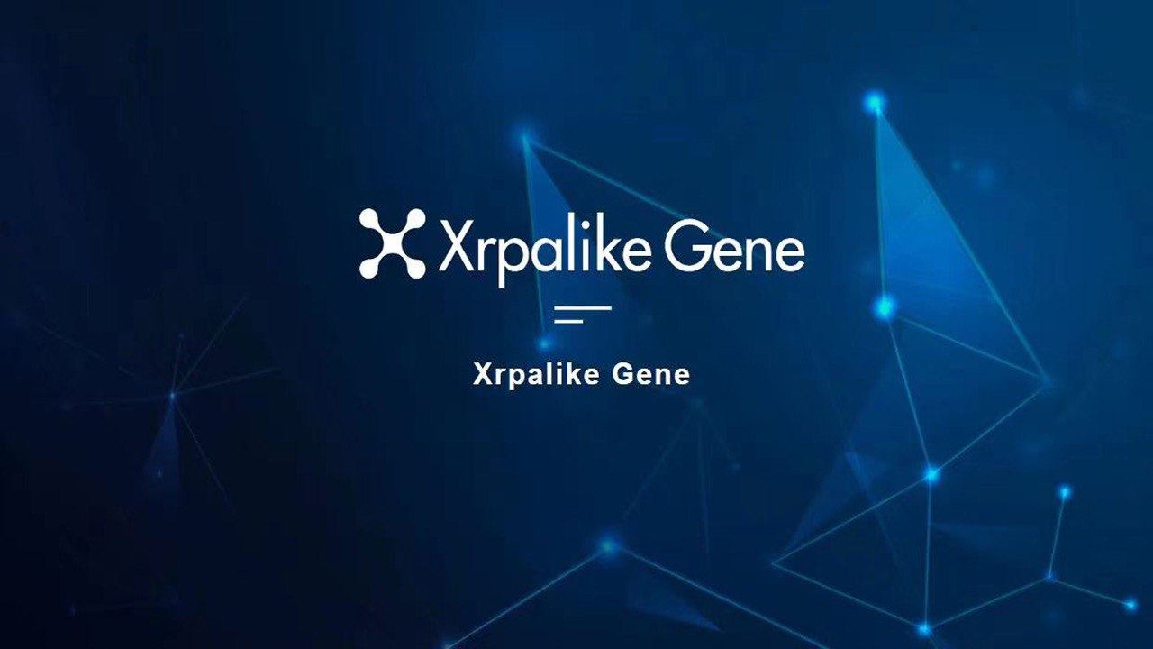 ZB․com List Xrpalike Gene (XAG) - Deposit XAG to Share 500,000 XAG Rewards