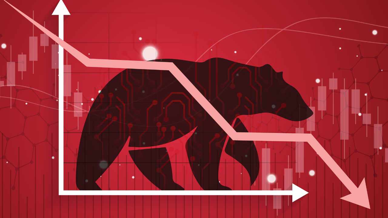Skybridge-stifter rådgiver om, hvordan man overlever Cryptocurrency-bjørnemarkedet - 'Vi er i et blodbad'
