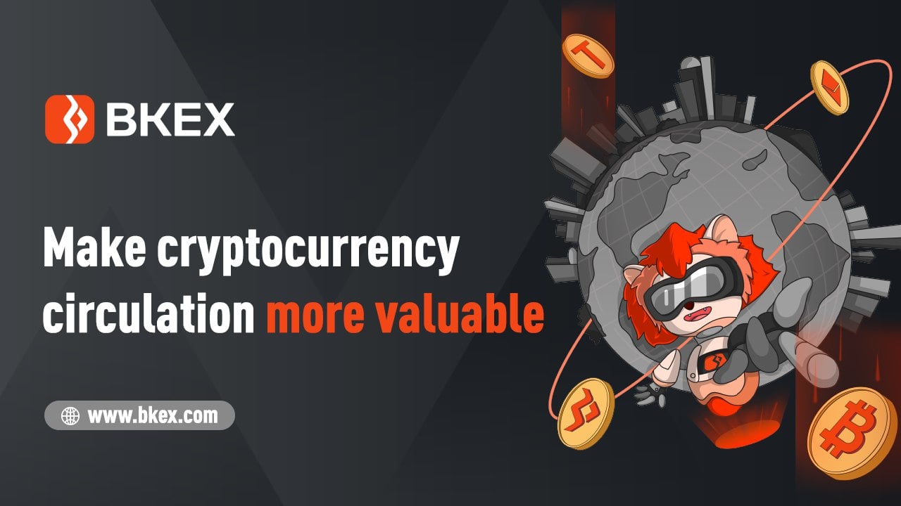 Introducing User-Centric BKEX Exchange