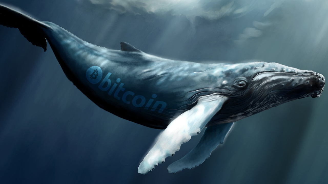 Whale Spends 10,000 BTC Worth $203M, Bitcoins Stem From the Infamous 2011 Mt Gox Hack